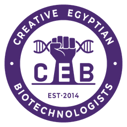 CEB ERP